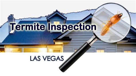 lv pest control|termite inspection las vegas.